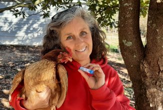 Homeopathy for Poultry and People